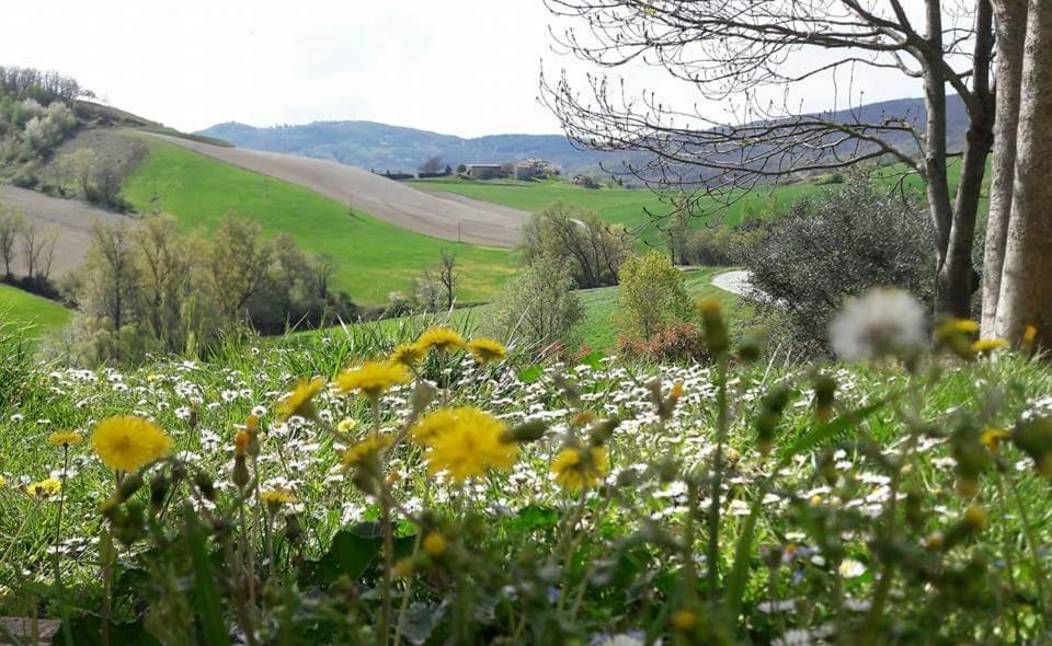 Agriturismo Il Colore Del Grano San Vittore (Emilia-Romagna) Exterior foto